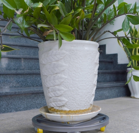 ĐẾ LÓT CHẬU CÂY HÌNH TRÒN D40