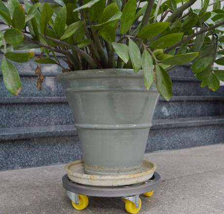 ĐẾ LÓT CHẬU CÂY HÌNH TRÒN D40